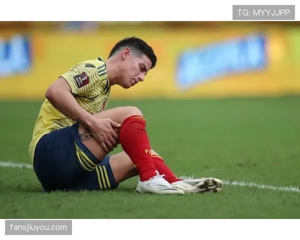 哥伦比亚冲击2026美加墨世界杯：J罗领衔能否重返淘汰赛
